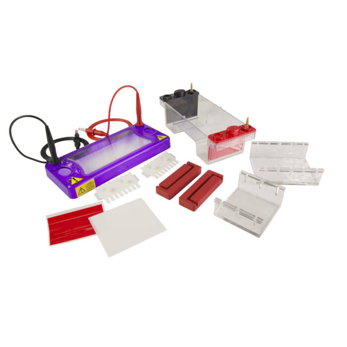 Horizontal Electrophoresis